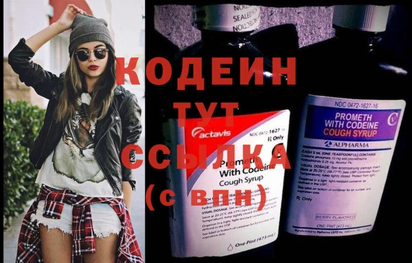 дурь Карпинск