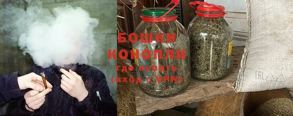 дурь Карпинск