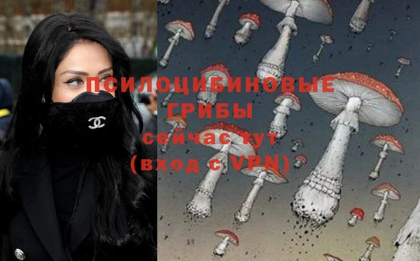 дурь Карпинск